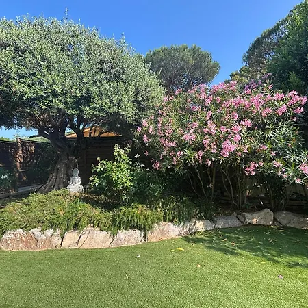 St Joseph * Saint-Tropez